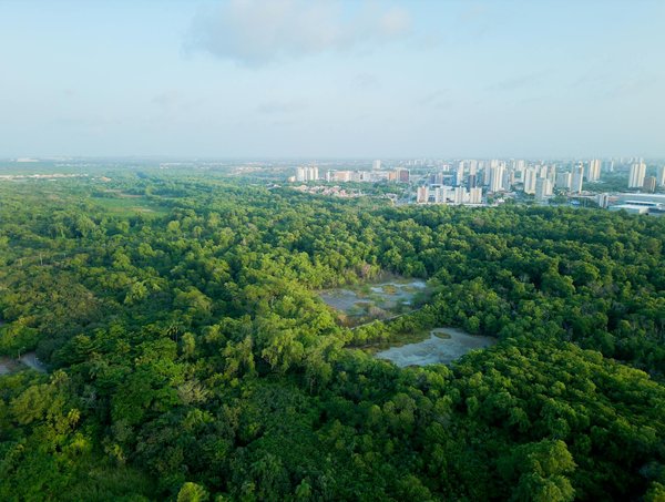 Kit pour débutant : zéro déchet